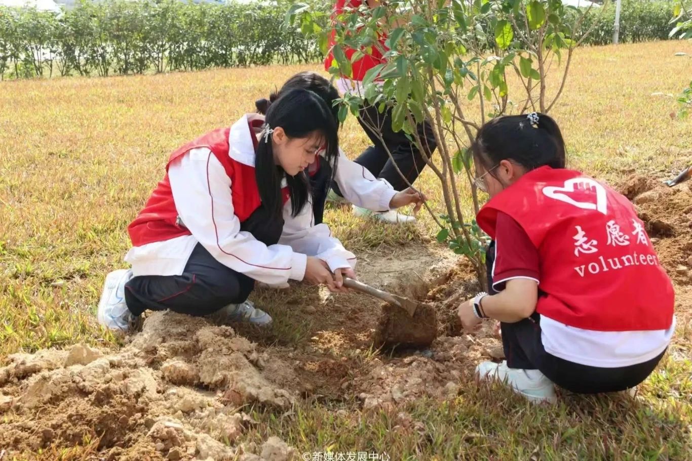 williamhill中国官网