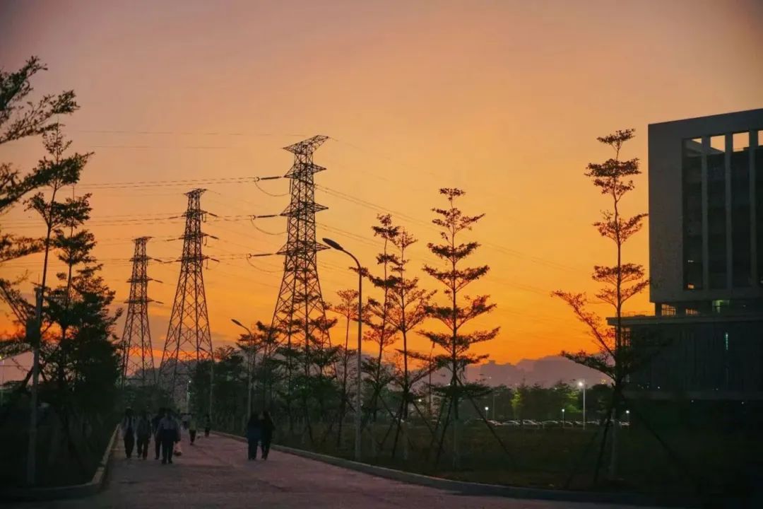 williamhill中国官网