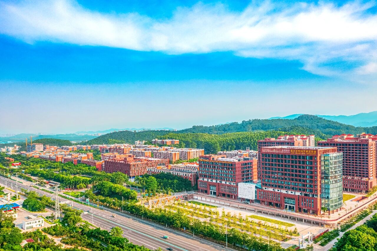 williamhill中国官网