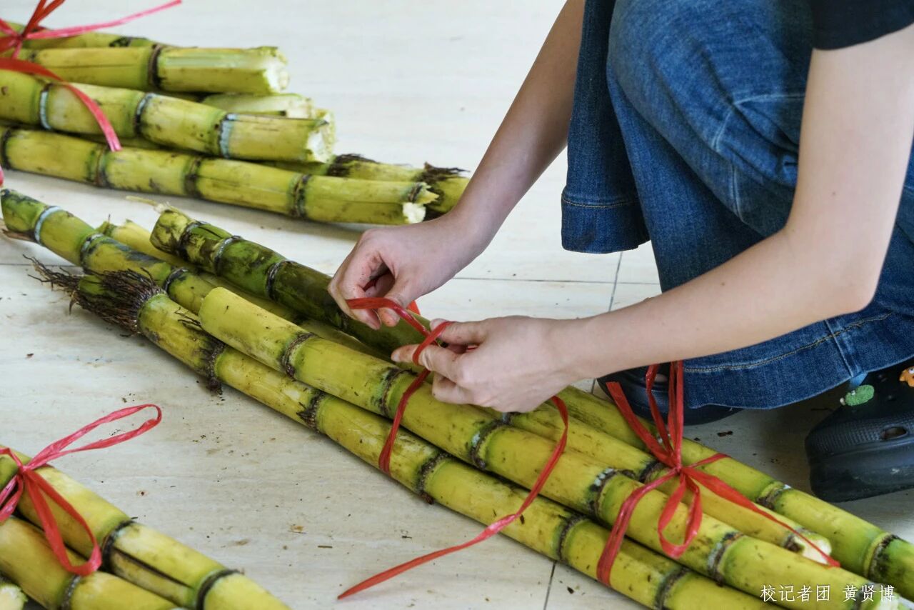 williamhill中国官网