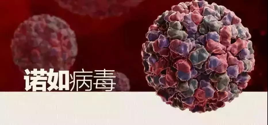 williamhill中国官网