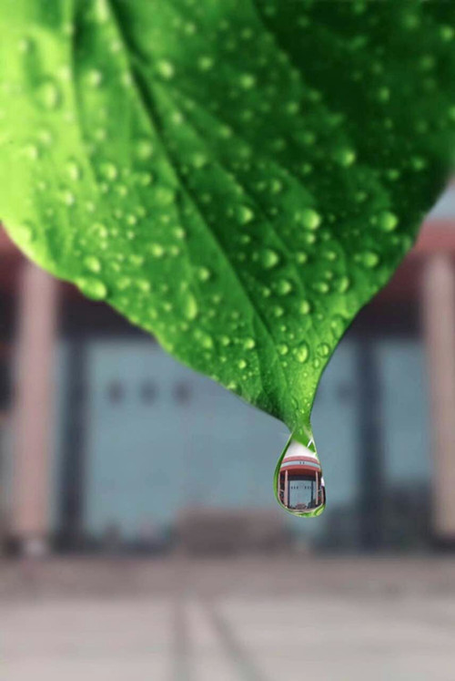 williamhill中国官网